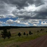 Review photo of Round Cienga Spring by Brandi S., July 11, 2026