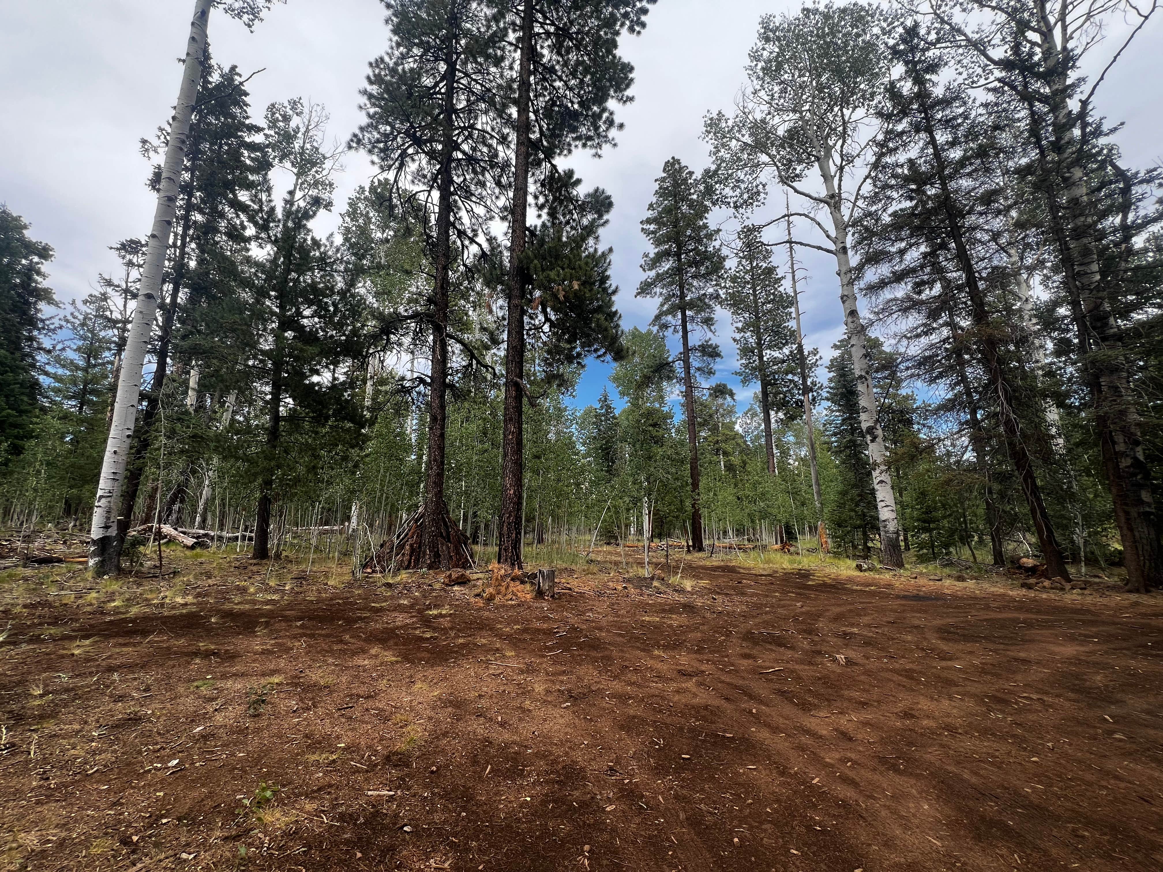 Camper-submitted photo at Round Cienga Spring near Whiteriver, AZ