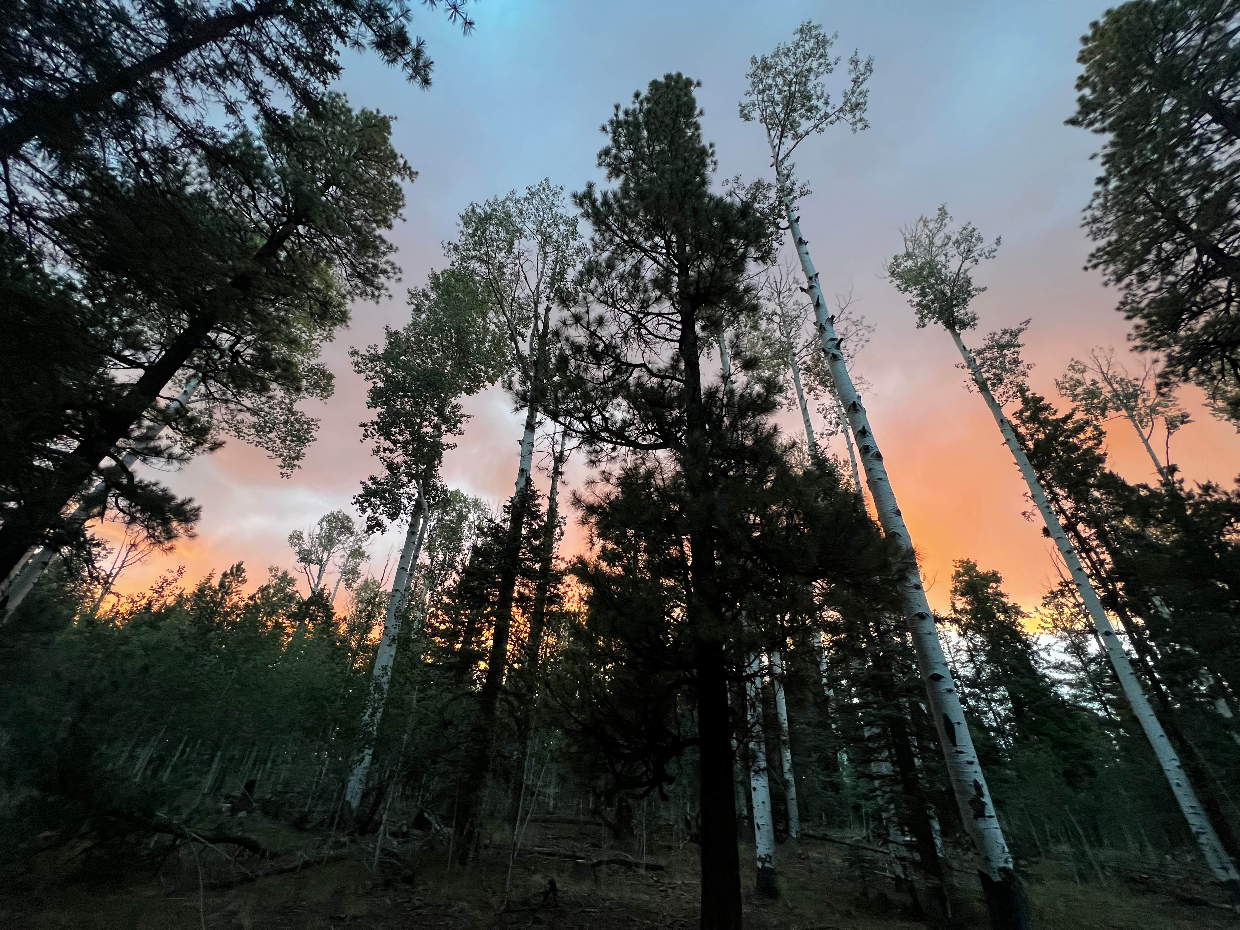 Camper-submitted photo at Round Cienga Spring near Whiteriver, AZ