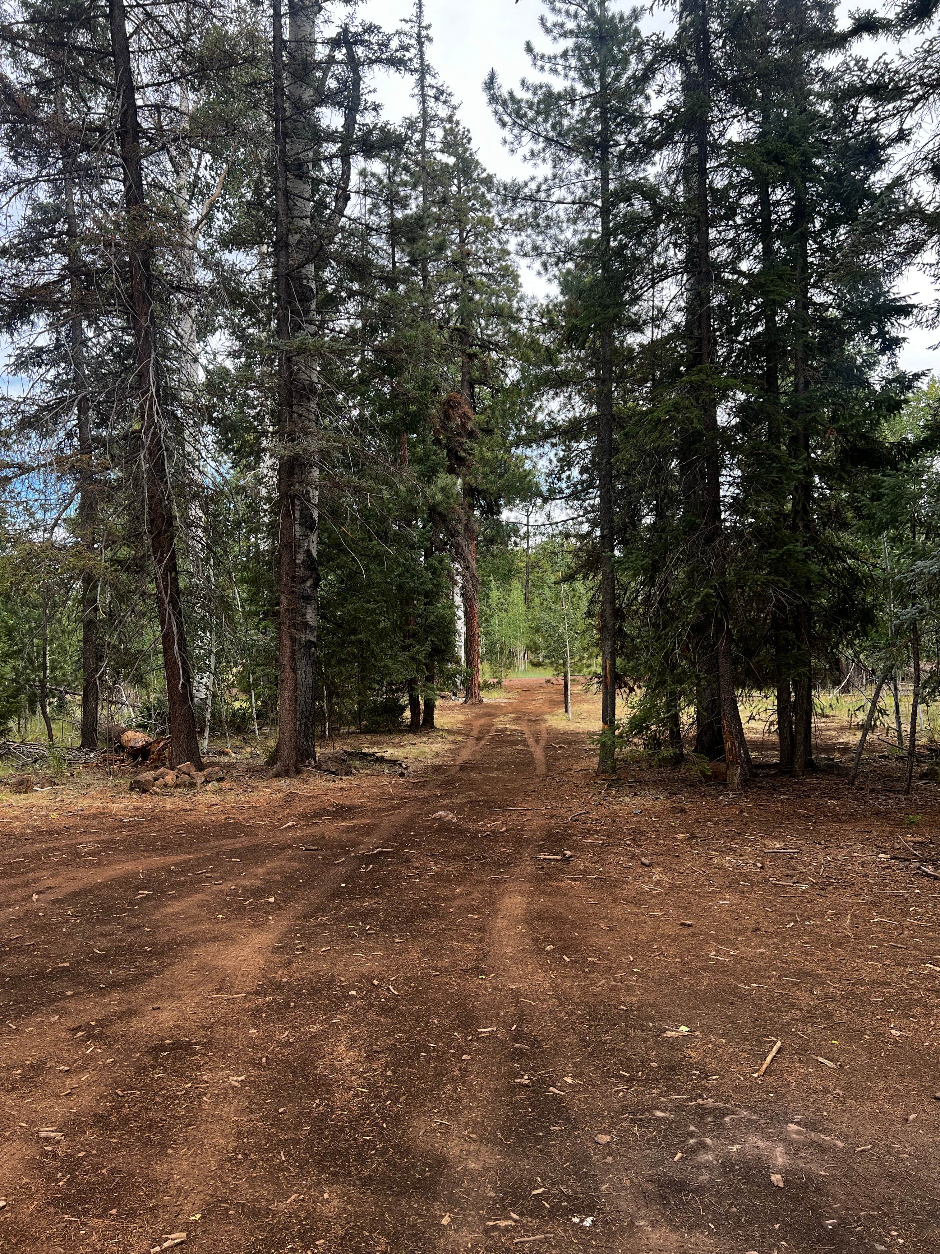 Camper-submitted photo at Round Cienga Spring near Whiteriver, AZ