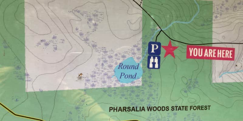Camper submitted image from Round Pond Pharsalia Woods Dispersed