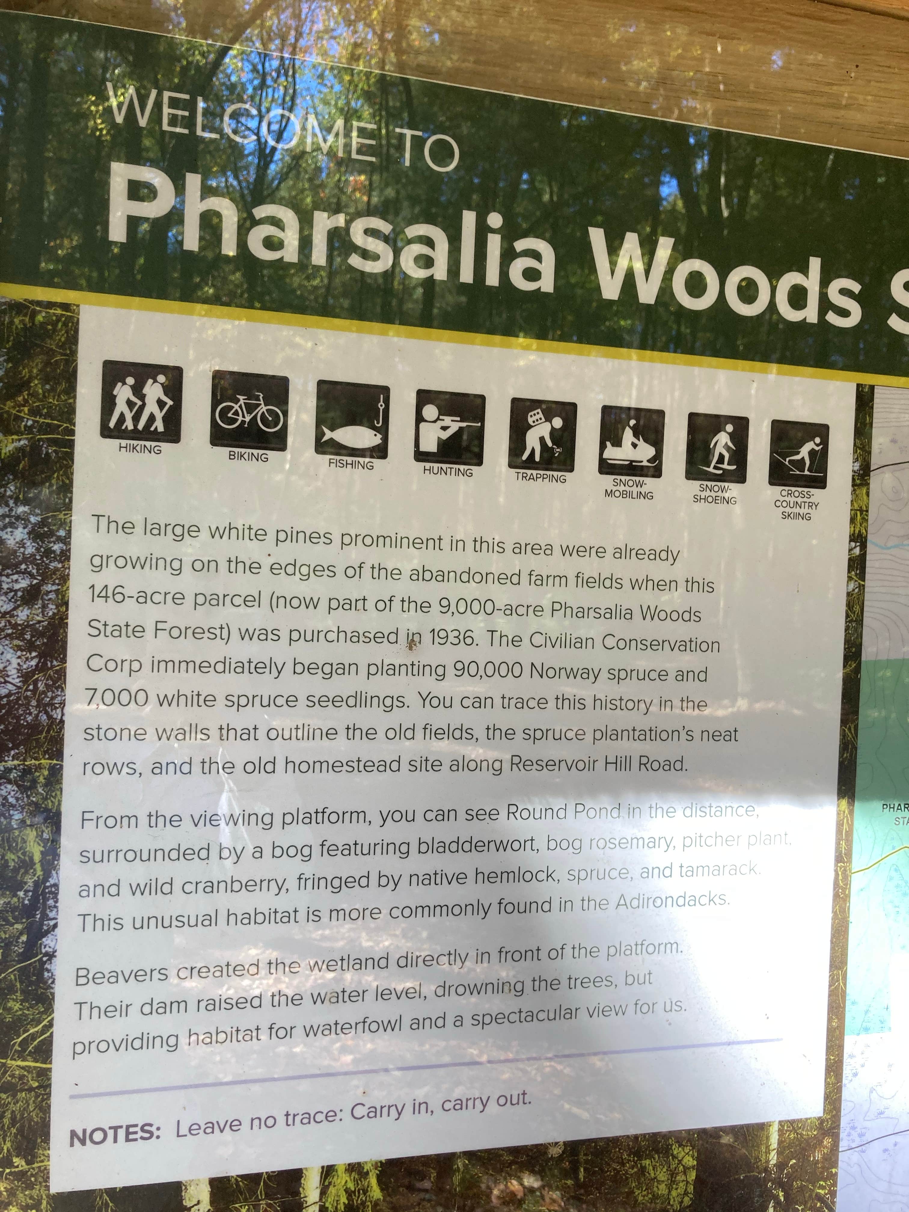 Camper submitted image from Round Pond Pharsalia Woods Dispersed - 3