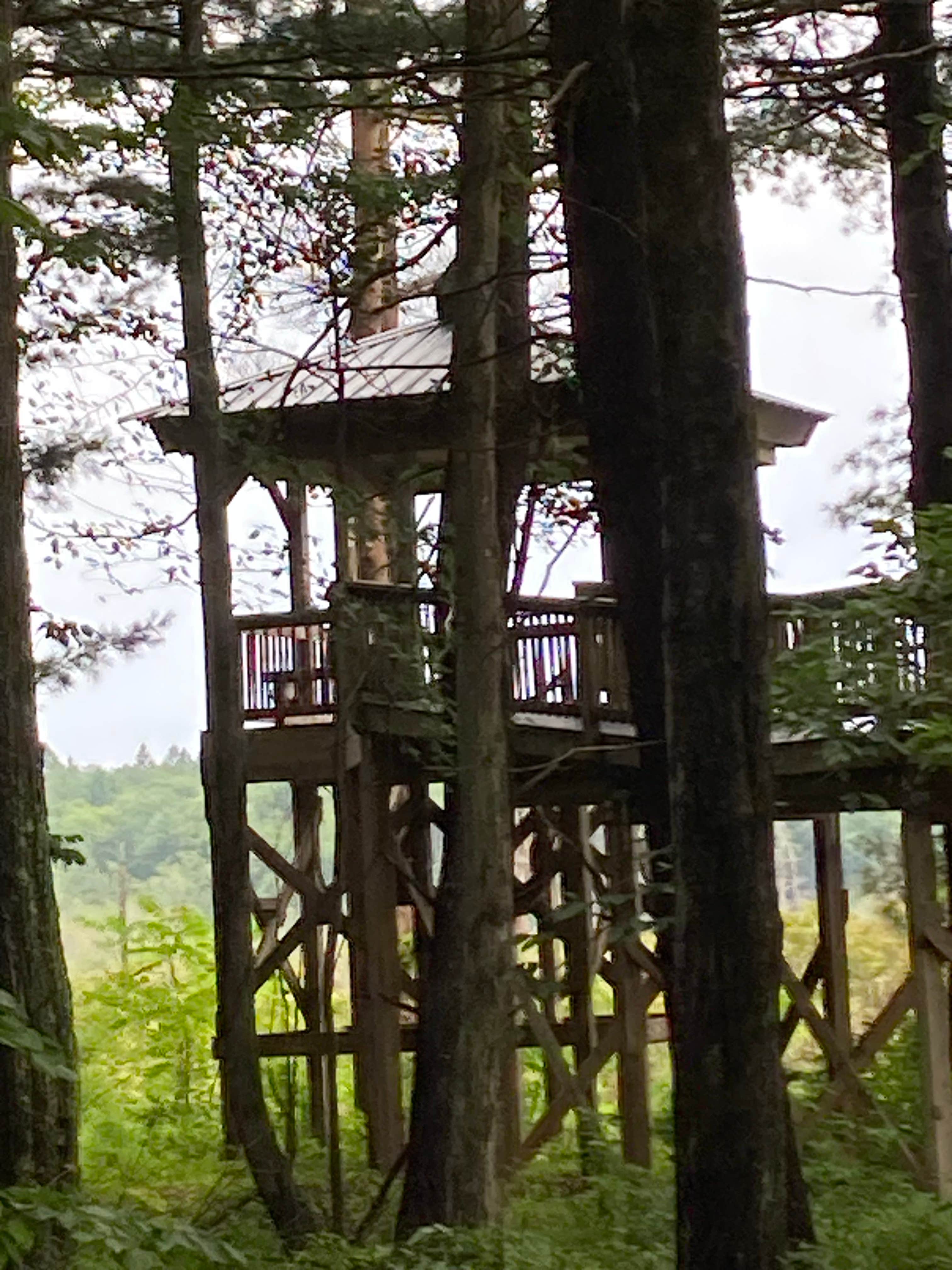 Camper-submitted photo at Round Pond Pharsalia Woods Dispersed near Syracuse, NY