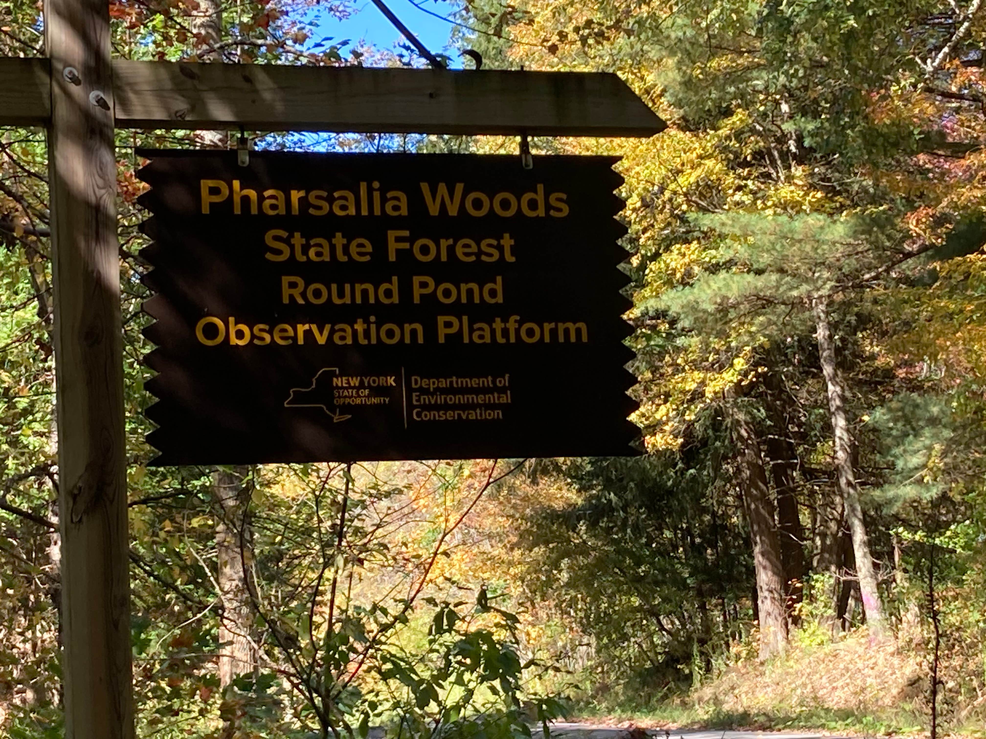 Camper-submitted photo at Round Pond Pharsalia Woods Dispersed near Syracuse, NY