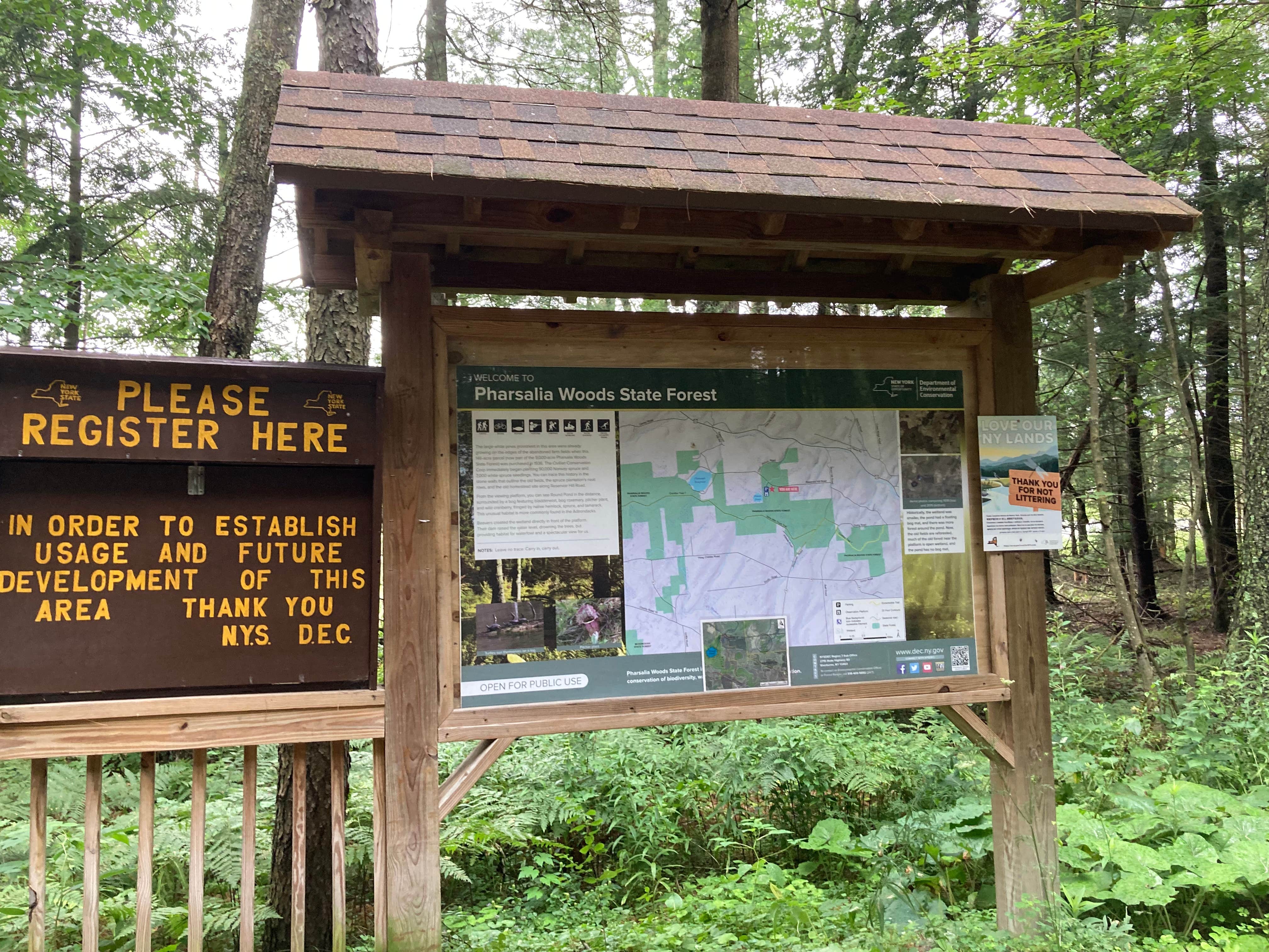 Camper-submitted photo at Round Pond Pharsalia Woods Dispersed near Syracuse, NY