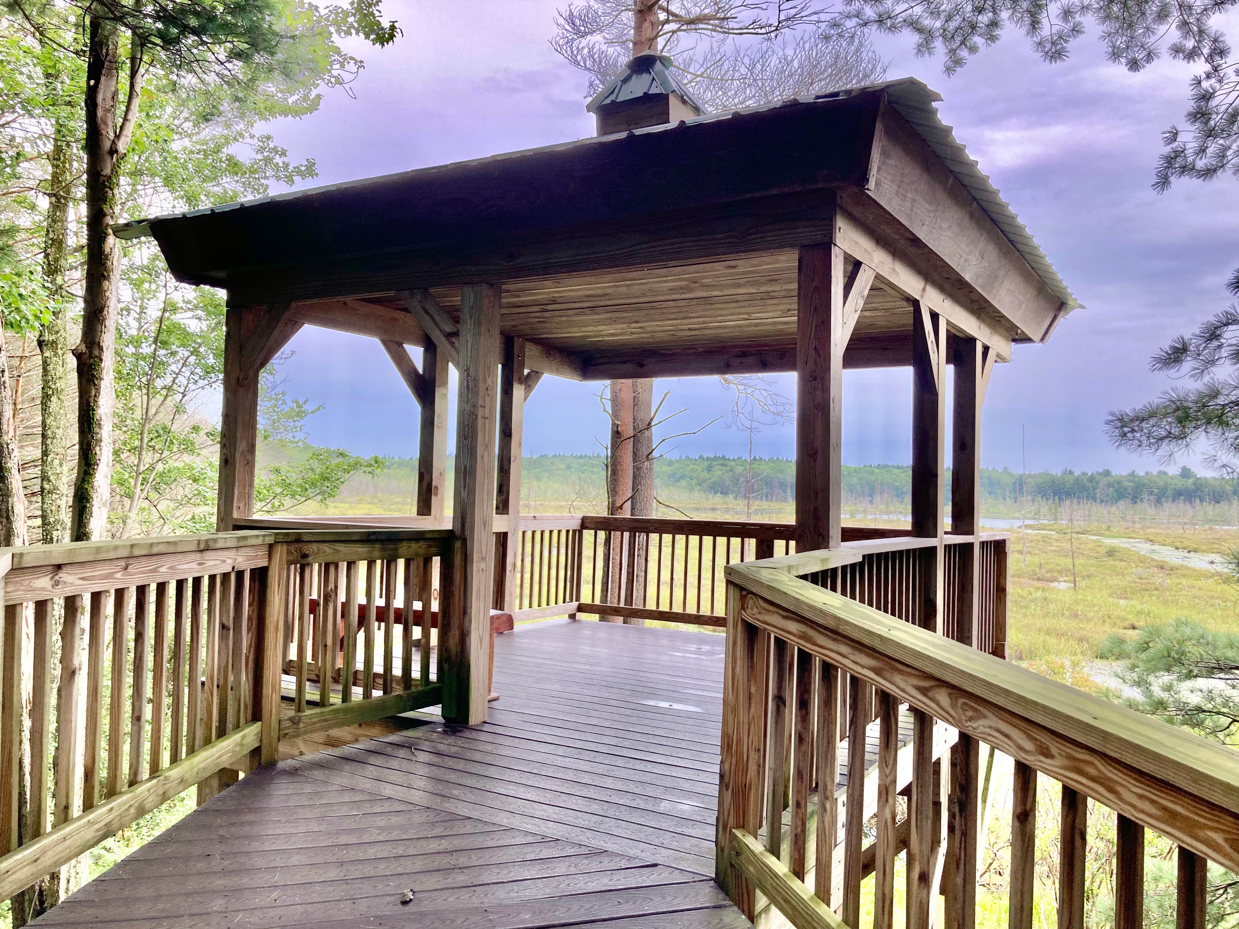 Camper-submitted photo at Round Pond Pharsalia Woods Dispersed near South Plymouth, NY