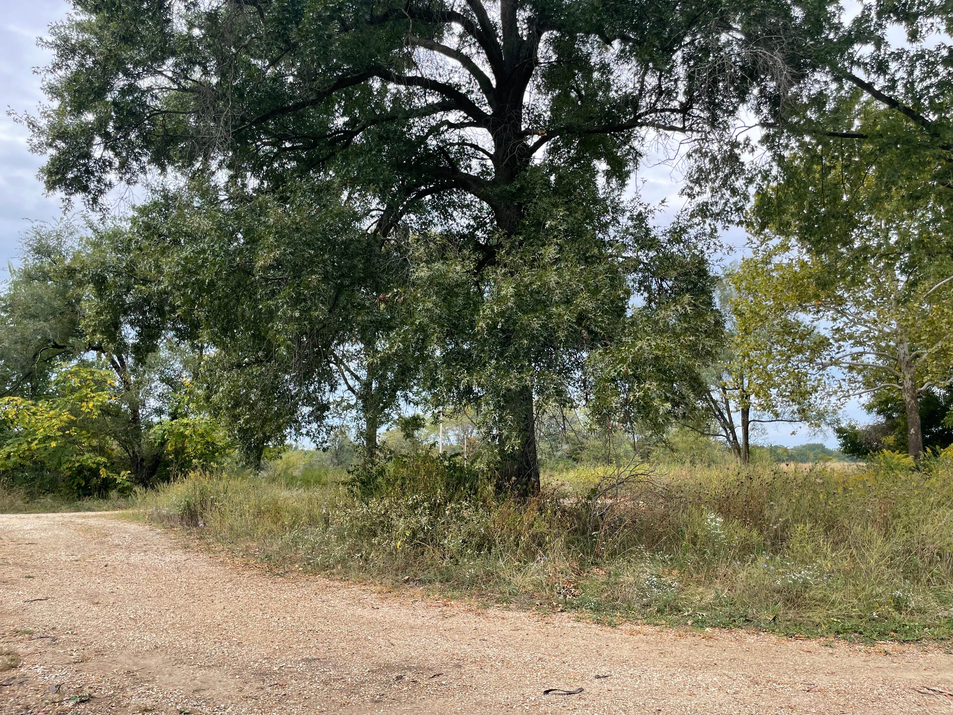 Camper-submitted photo at Round Prairie Interpretive Site near Holliday, MO