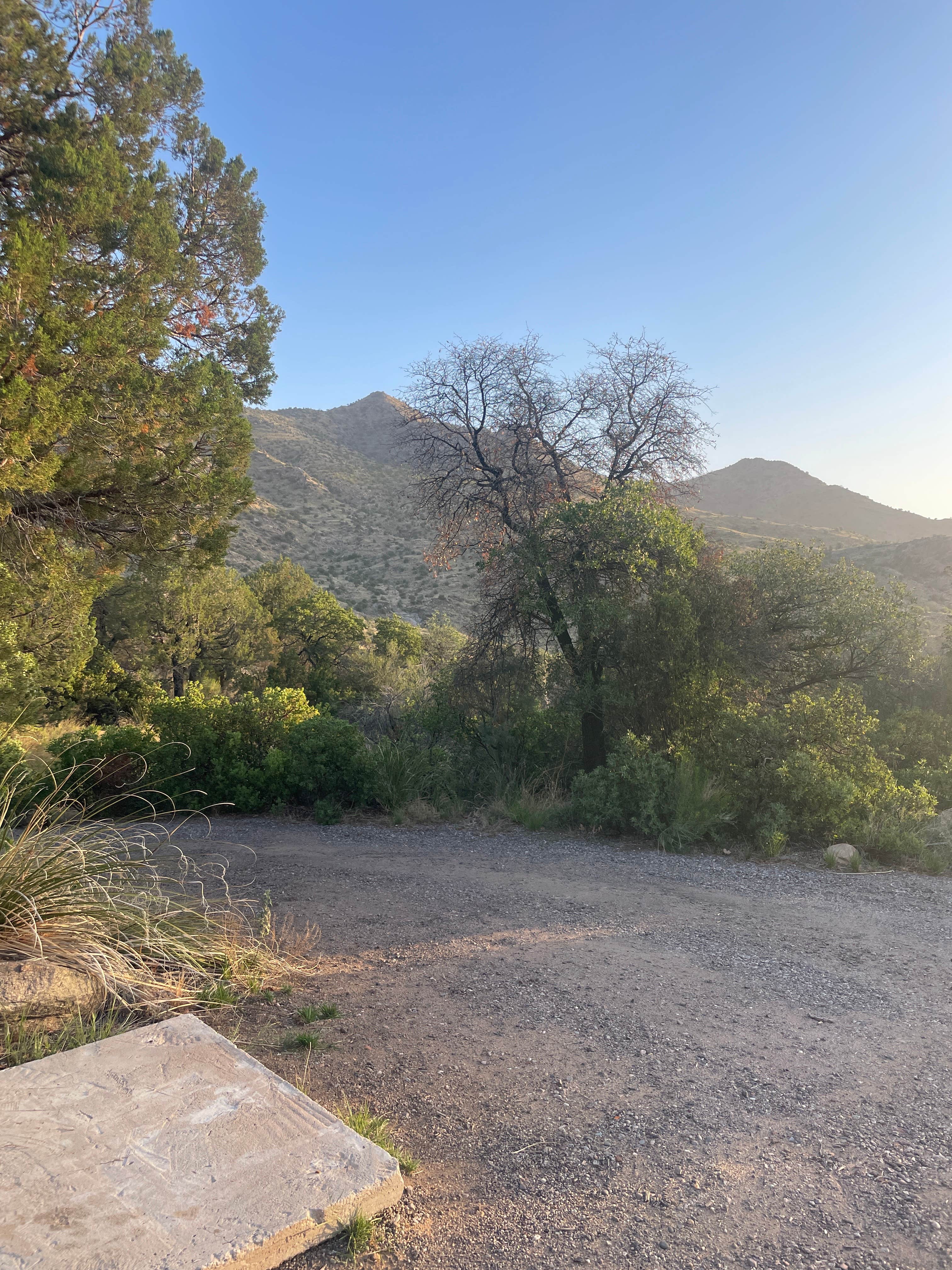 Camper-submitted photo at Round the Mountain Campground near Safford, AZ