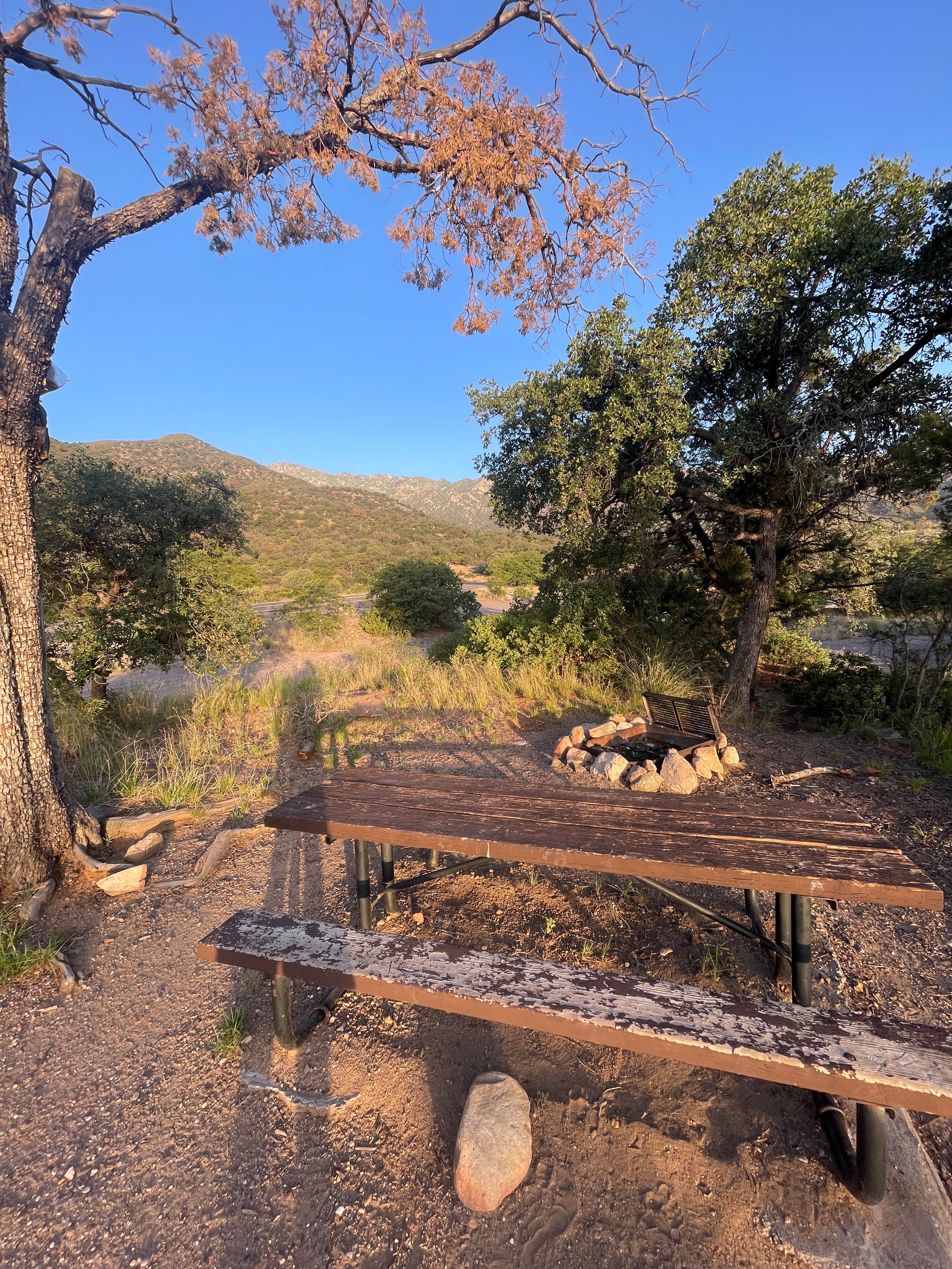 Camper-submitted photo at Round the Mountain Campground near Safford, AZ