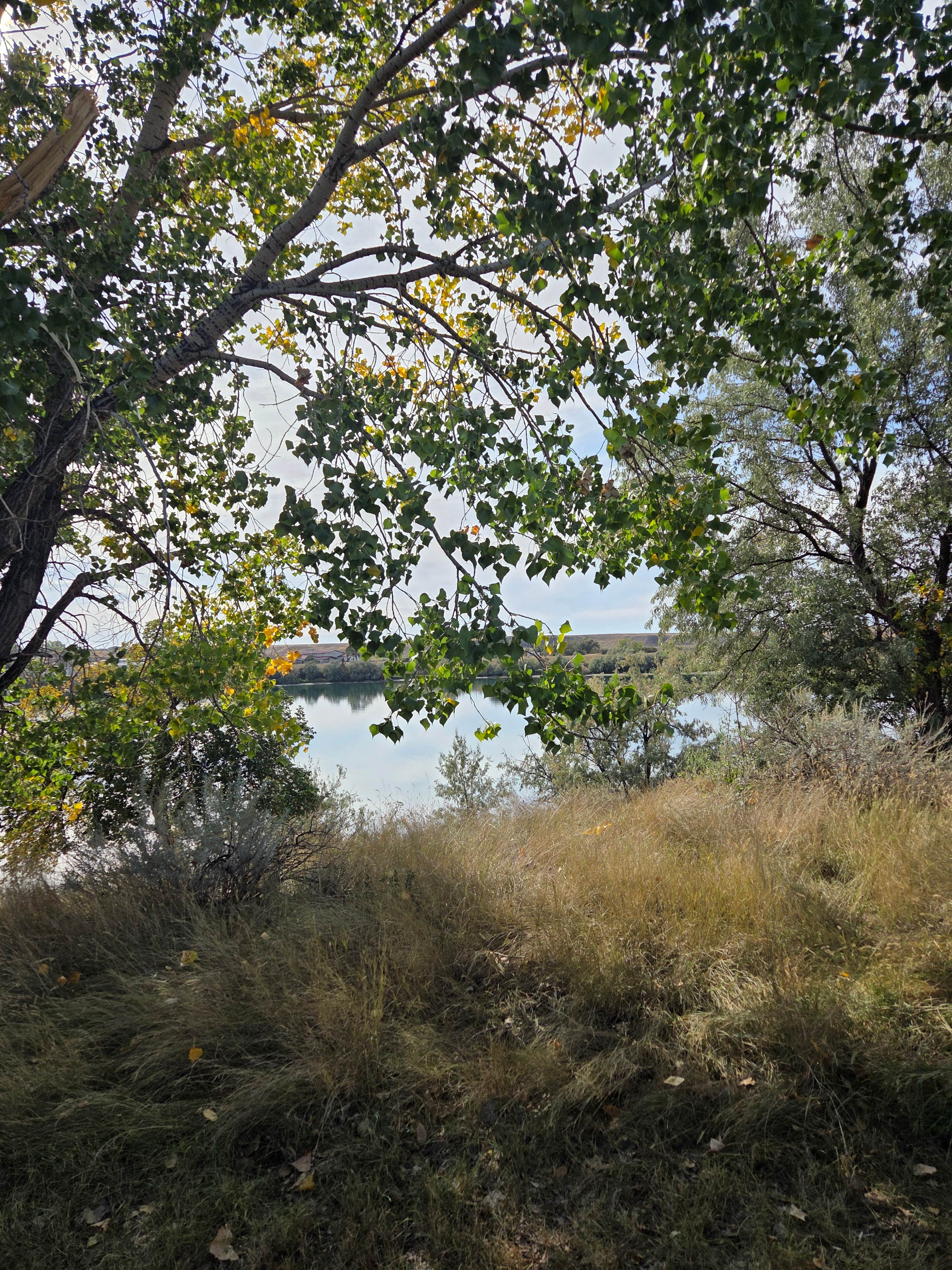 Camper-submitted photo at Roundhouse Point Campgound near Nashua, MT