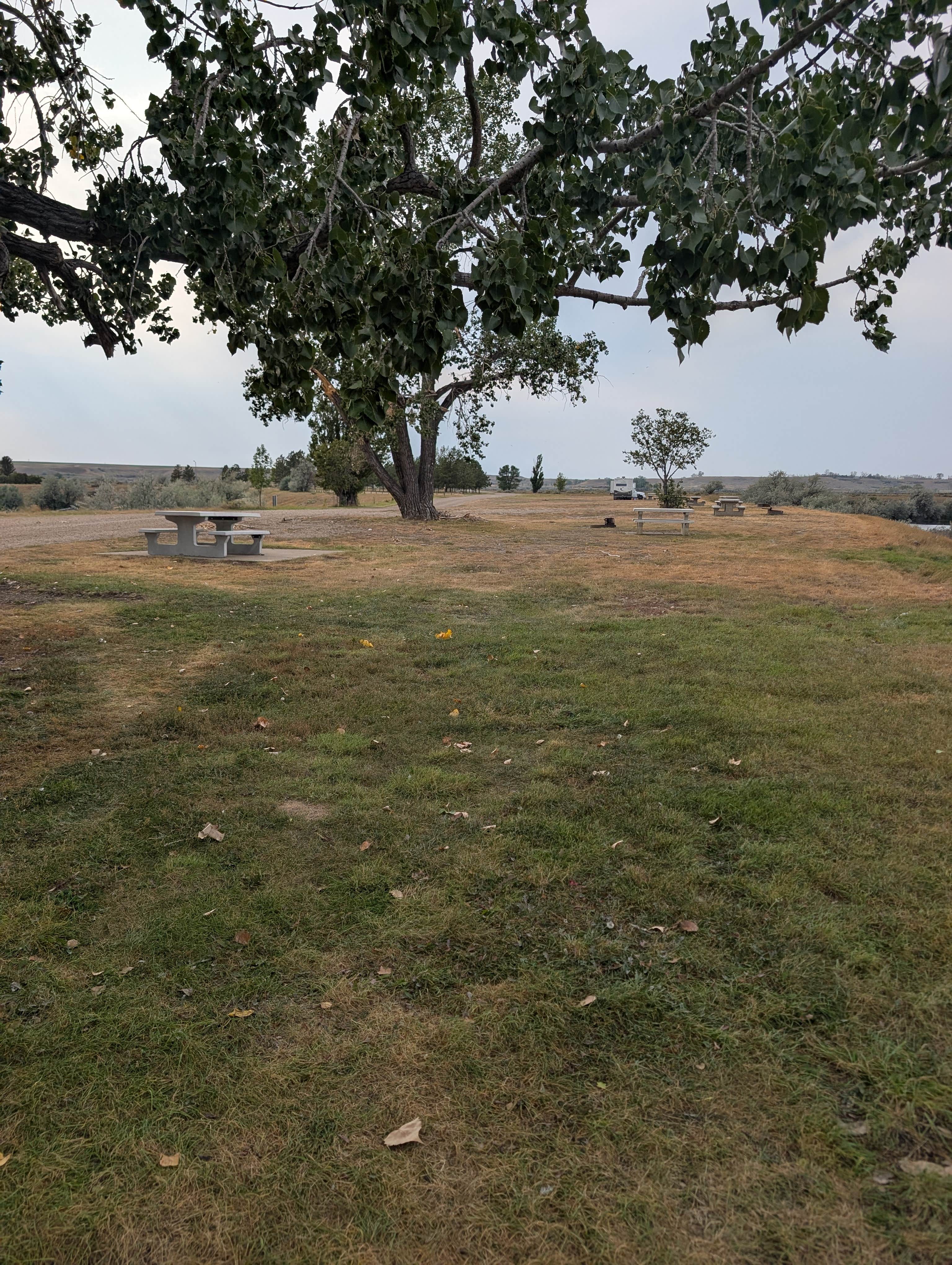 Camper-submitted photo at Roundhouse Point Campgound near Nashua, MT