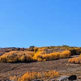 Review photo of Boulder Mtn-Roundup Flat Dispersed by Greg L., September 29, 2024