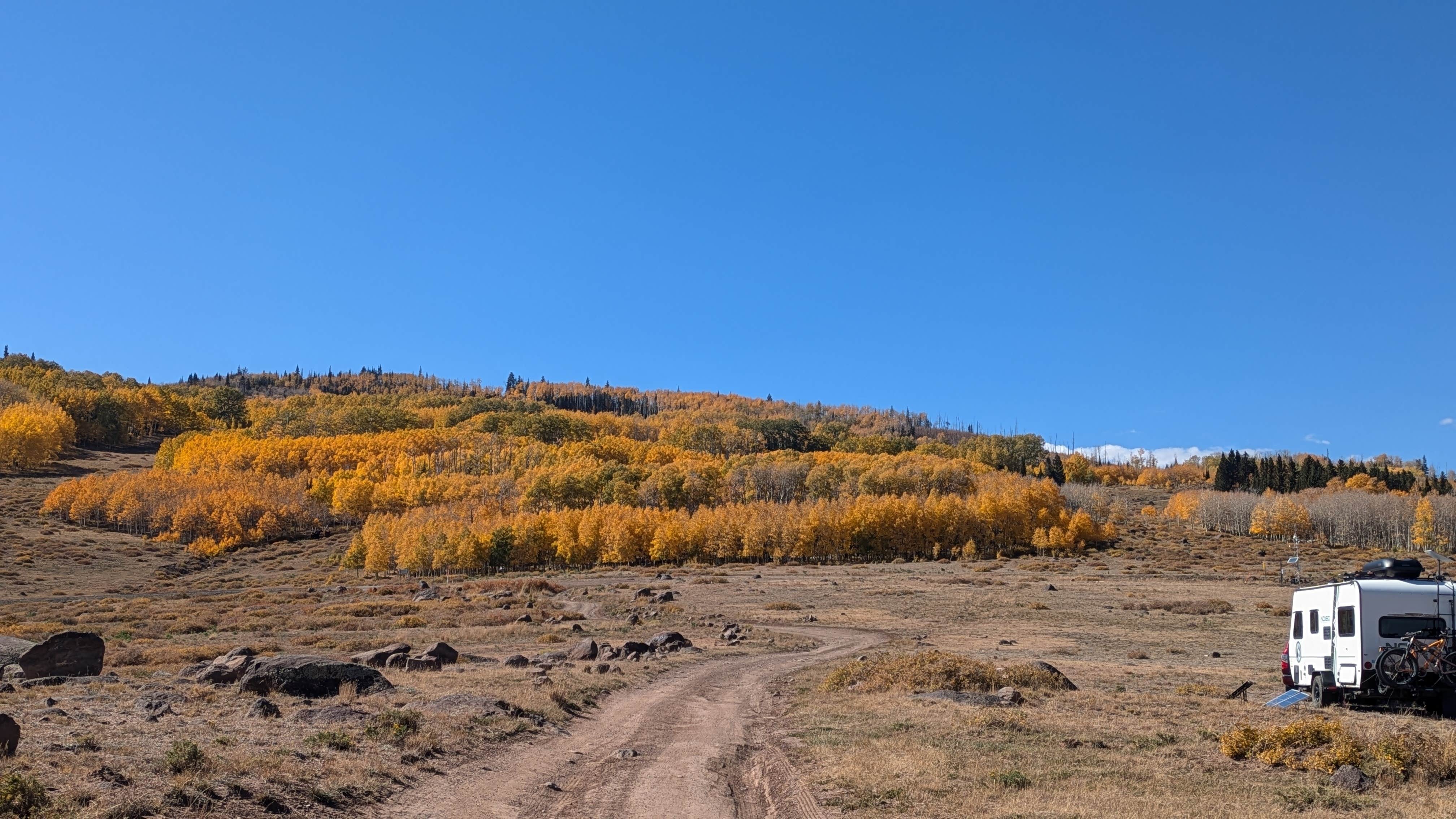 Camper submitted image from Boulder Mtn-Roundup Flat Dispersed - 5
