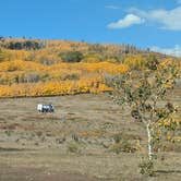 Review photo of Boulder Mtn-Roundup Flat Dispersed by Greg L., September 29, 2024