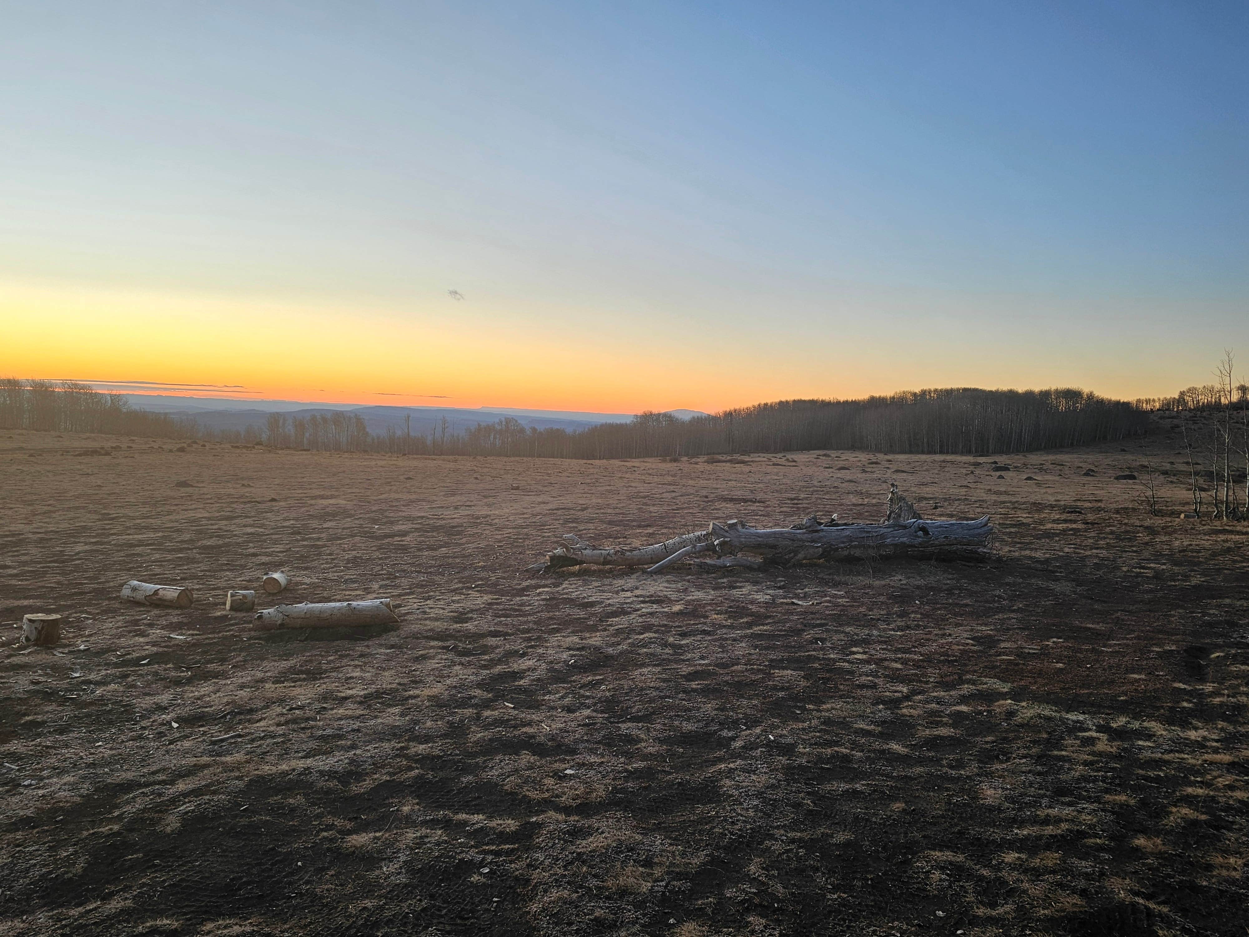 Carol G.'s photo of a dispersed camping area at Boulder Mtn-Roundup Flat Dispersed near Eggnog, UT