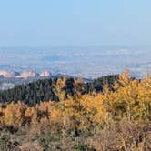 Review photo of Boulder Mtn-Roundup Flat Dispersed by Greg L., September 29, 2024