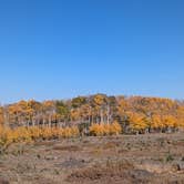 Review photo of Boulder Mtn-Roundup Flat Dispersed by Greg L., September 29, 2024