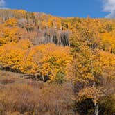 Review photo of Boulder Mtn-Roundup Flat Dispersed by Greg L., September 29, 2024