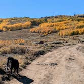 Review photo of Boulder Mtn-Roundup Flat Dispersed by Greg L., September 29, 2024