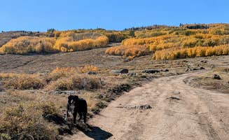 Greg L.'s photo of camping with pets at Boulder Mtn-Roundup Flat Dispersed near Capitol Reef National Park
