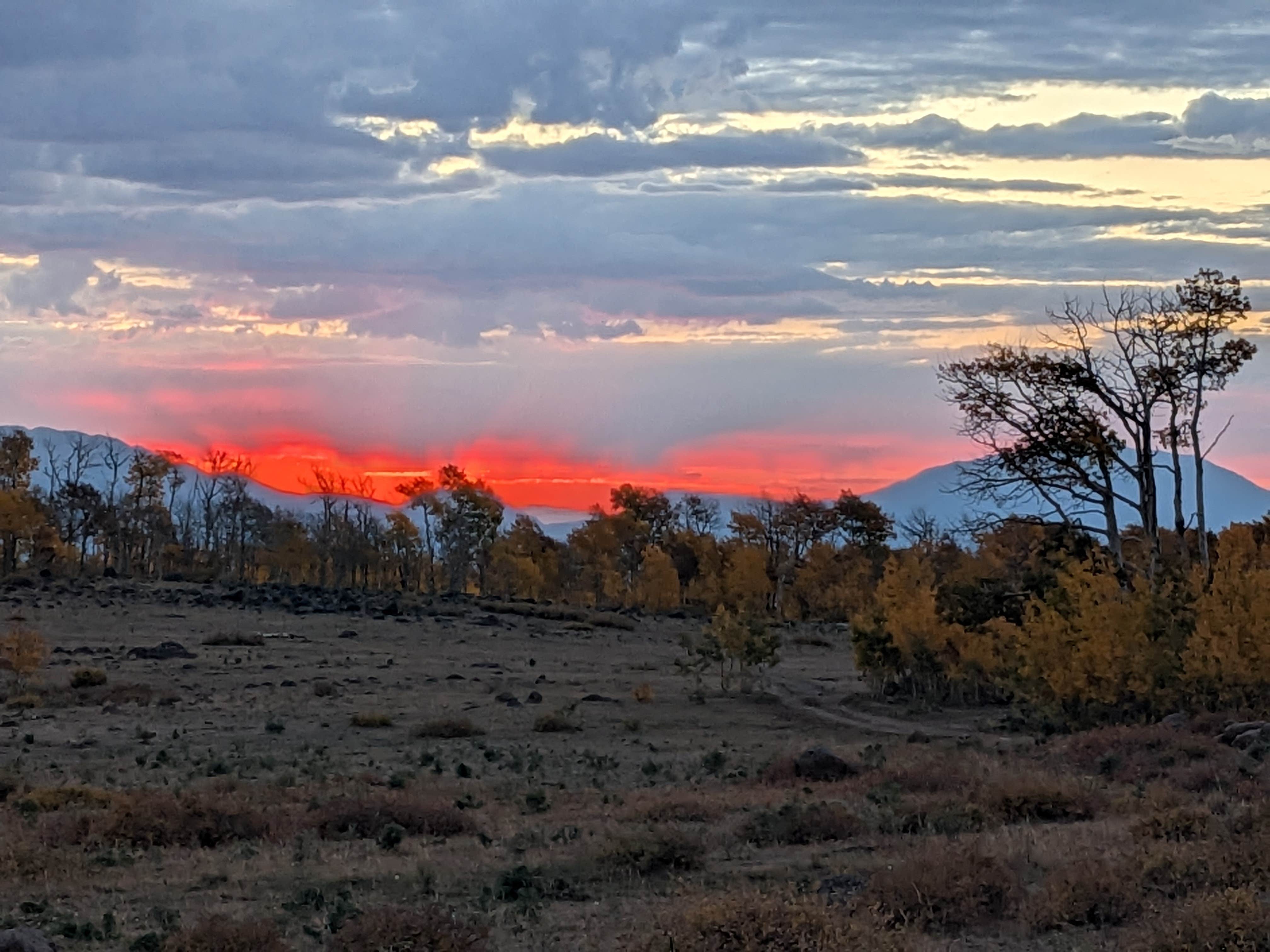 Greg L.'s photo of a dispersed camping area at Boulder Mtn-Roundup Flat Dispersed near Capitol Reef National Park