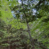 Review photo of Route 100 Dispersed Camping by Brendan M., May 27, 2026