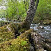 Review photo of Route 100 Dispersed Camping by Brendan M., May 27, 2026