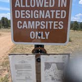 Review photo of Route 31 Camp by Sonja T., August 14, 2025