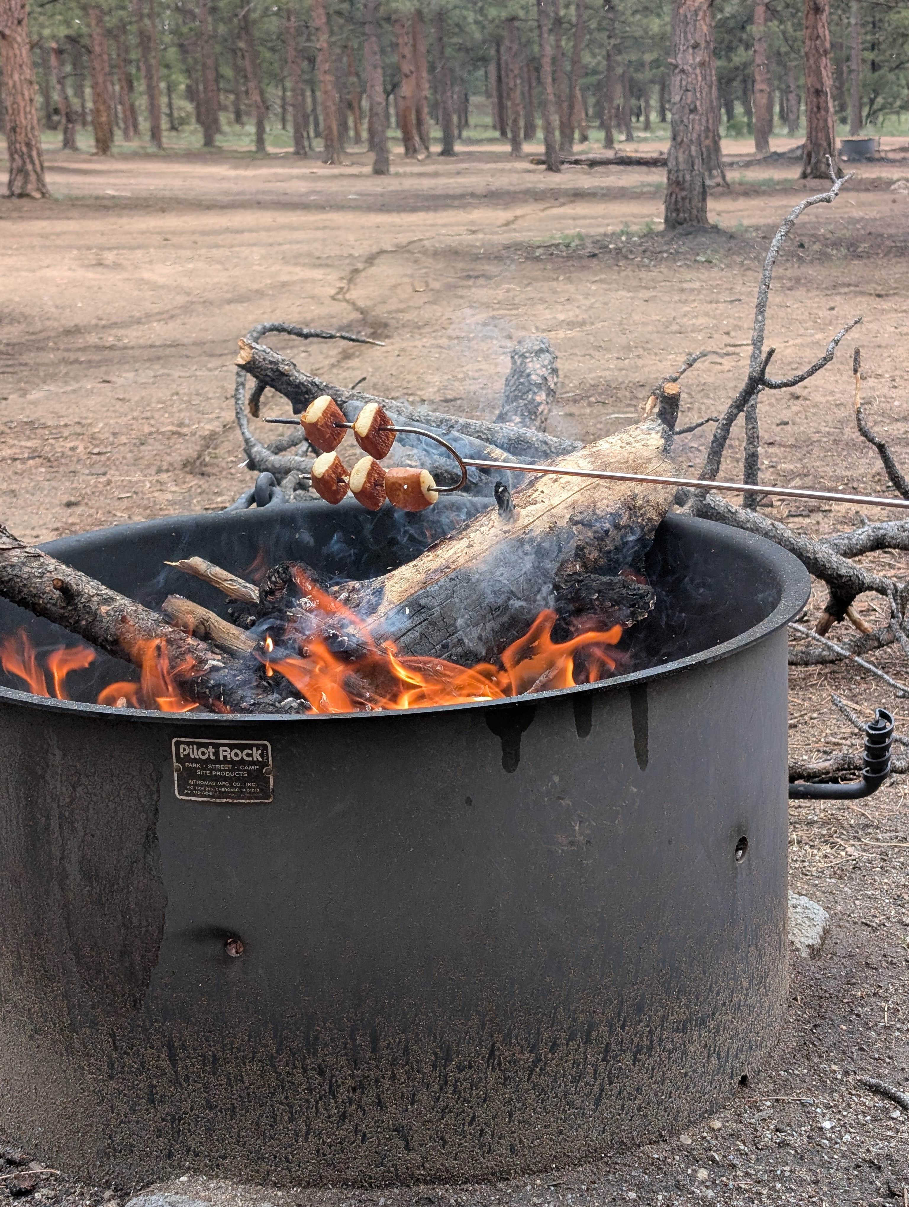 Camping near Round Mountain: Route 31 Camp, Lake George, Colorado