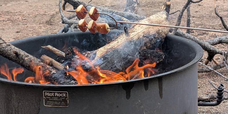 Camper submitted image from Route 31 Camp