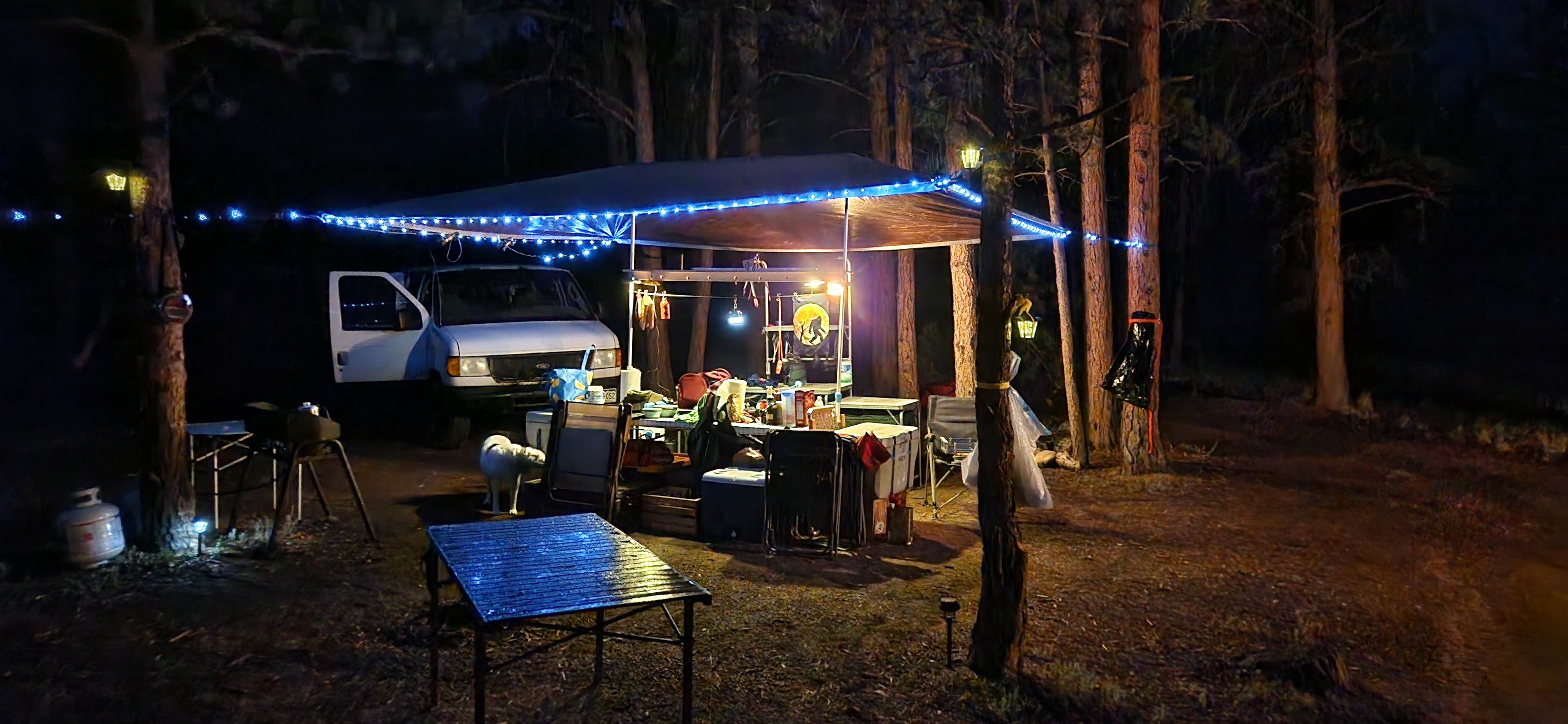 David H.'s photo of camping with pets at Route 31 Camp near Pike and San Isabel National Forests and Cimarron and Comanche National Grasslands