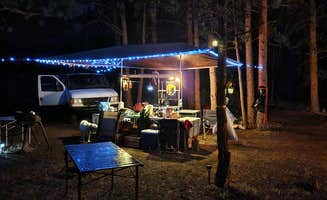 David H.'s photo of camping with pets at Route 31 Camp near Pike and San Isabel National Forests and Cimarron and Comanche National Grasslands