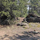 Review photo of Route 31 Camp by Sonja T., August 14, 2025