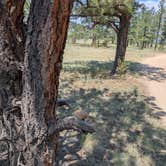 Review photo of Route 31 Camp by Sonja T., August 14, 2025