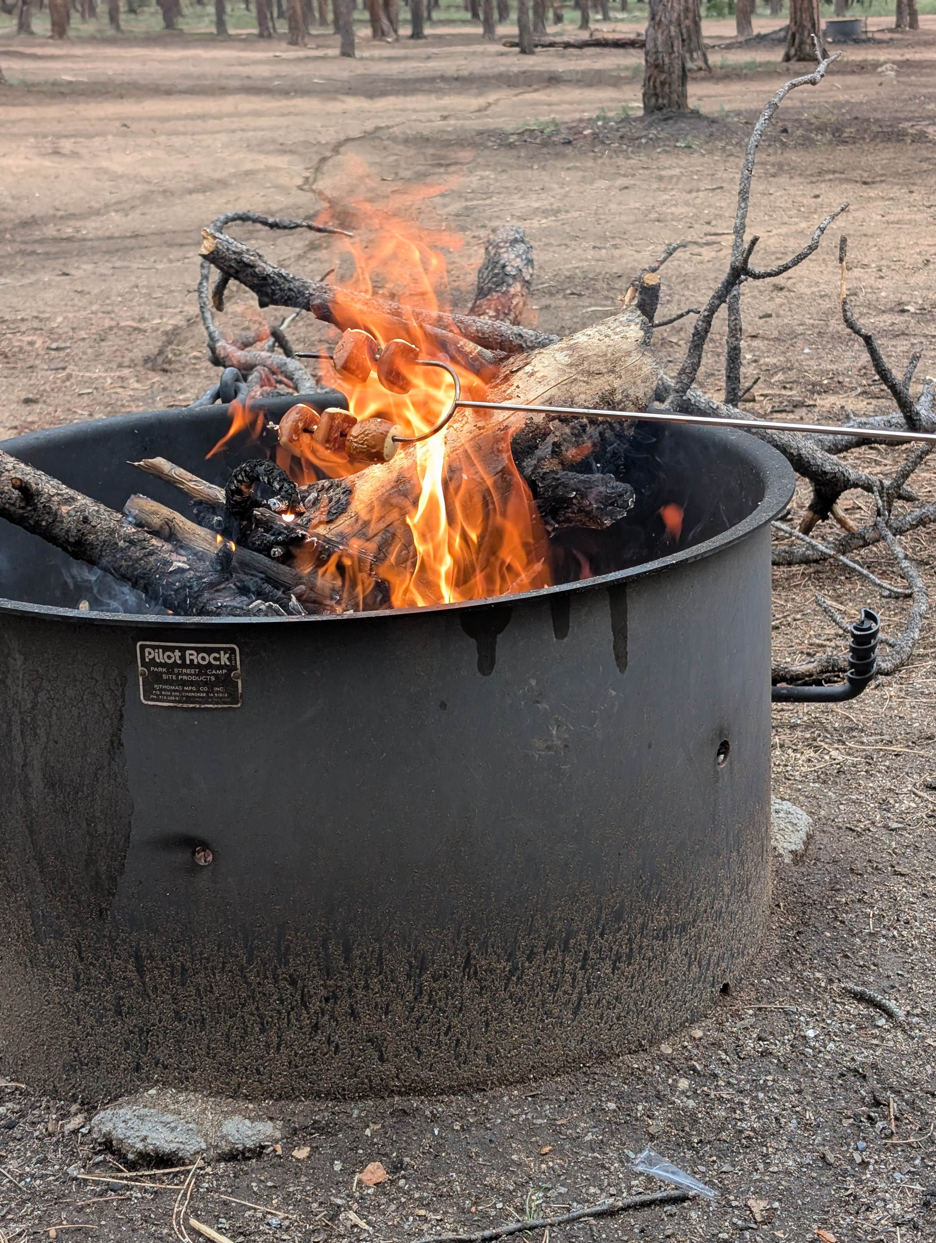 Camper-submitted photo at Route 31 Camp near Lake George, CO