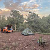 Review photo of Route 66 Roadside Camp by Floor V., August 1, 2024