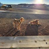 Review photo of Route 66 RV Resort by Heidi J., March 14, 2026