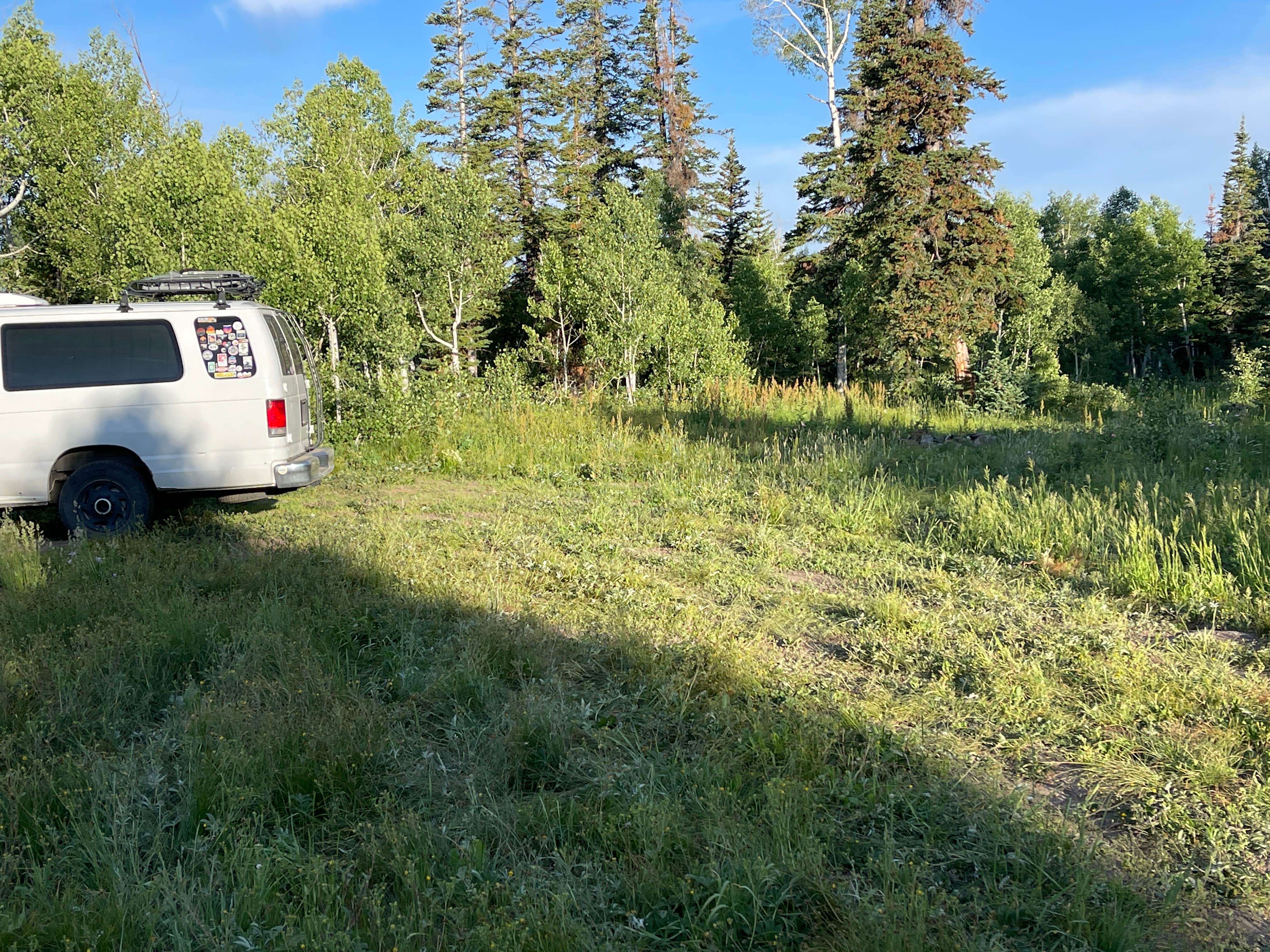 Camper-submitted photo at Routt NF Dispersed near Slater, CO