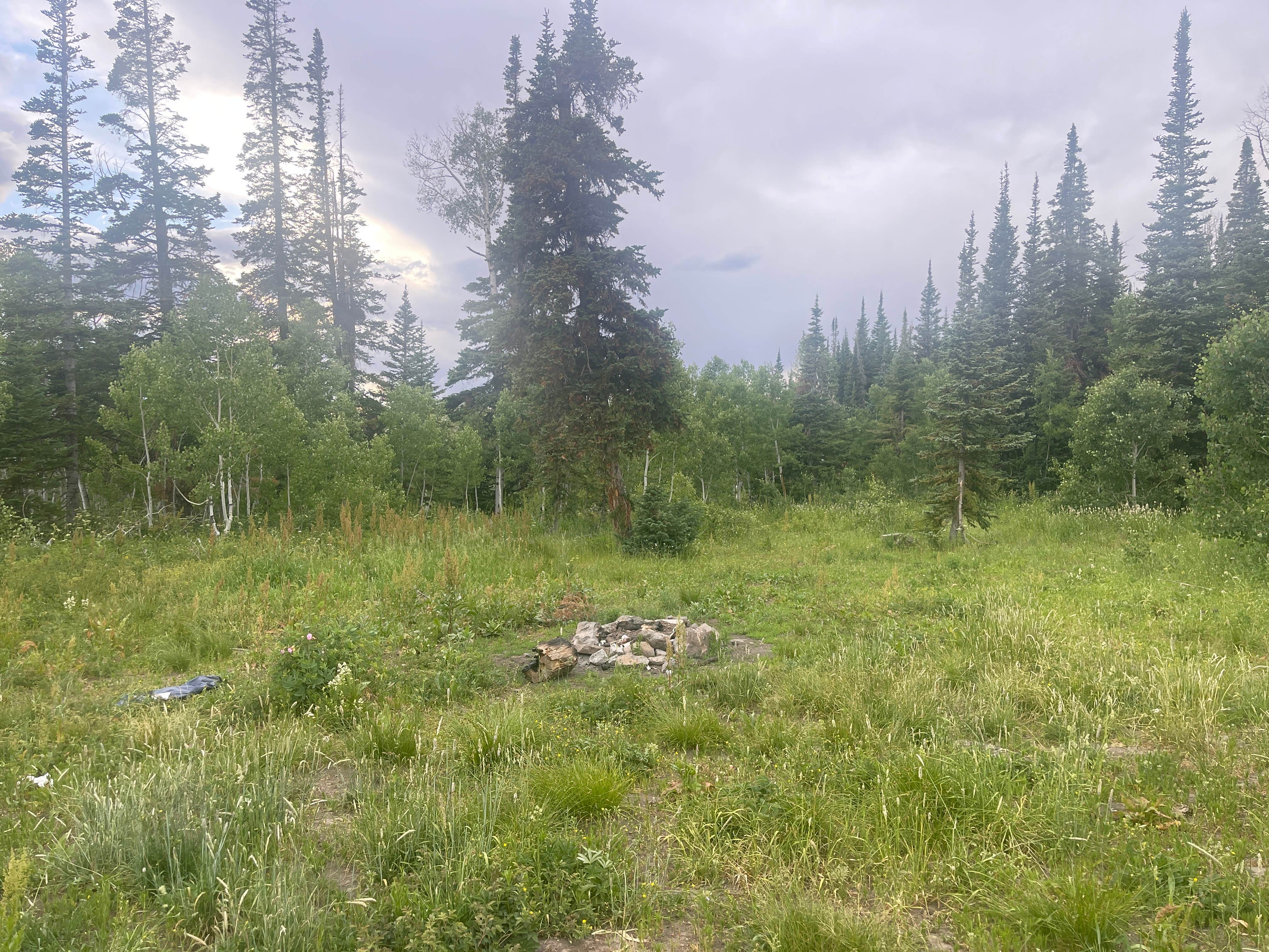 Camper-submitted photo at Routt NF Dispersed near Slater, CO