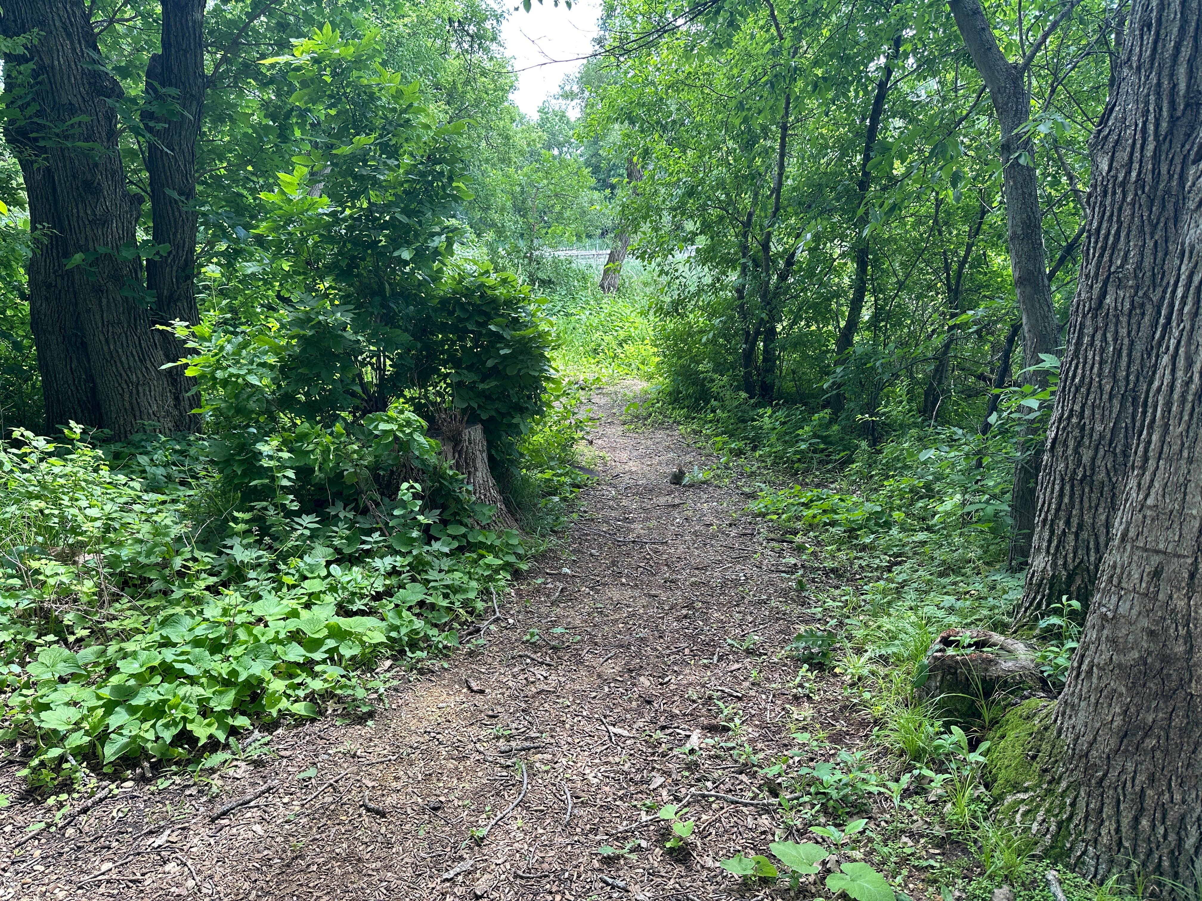 Roads