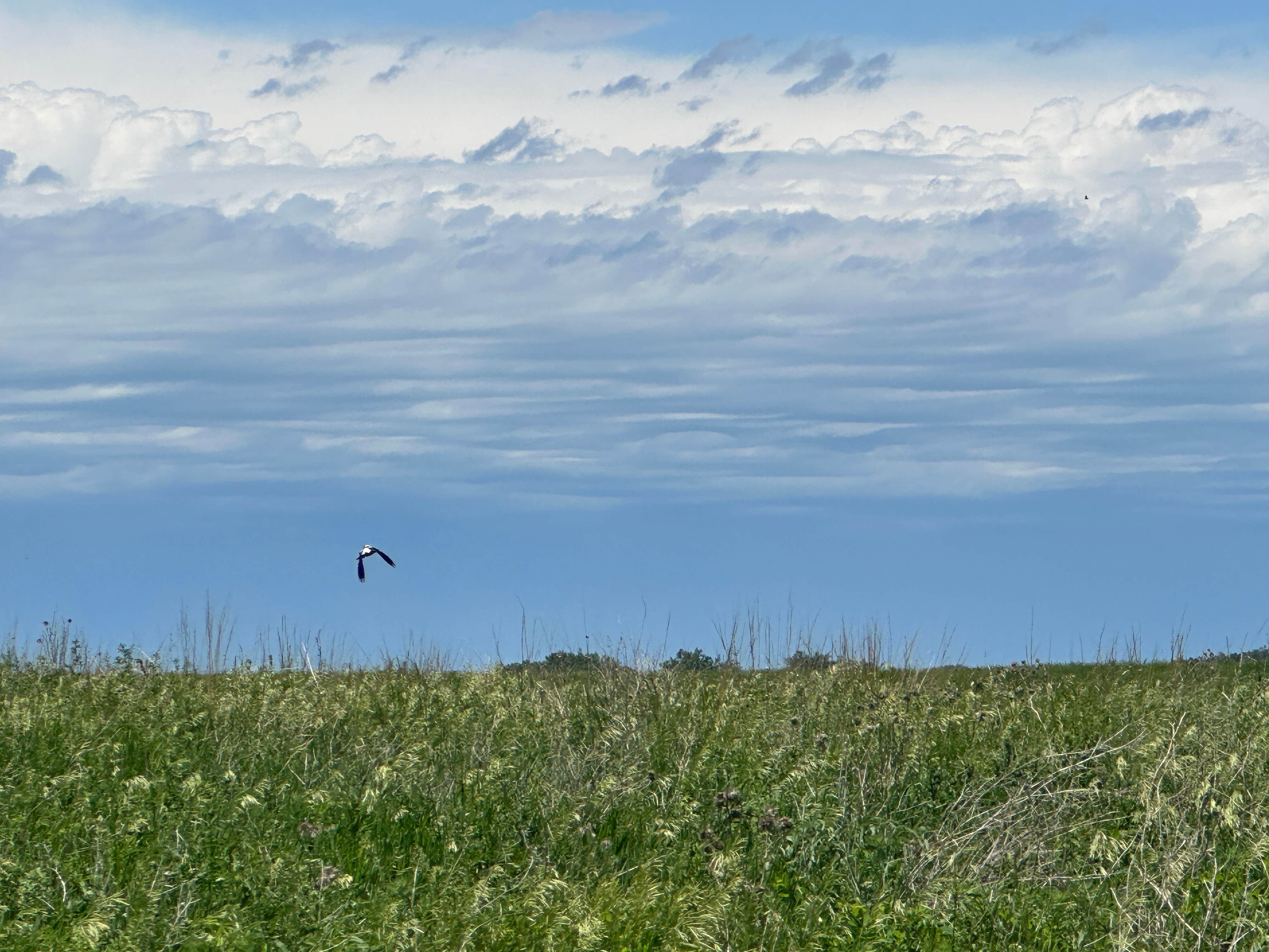 Camping near East Unit — Pickerel Lake Recreation Area: Roy Lake East — Roy Lake State Park, Lake City, South Dakota