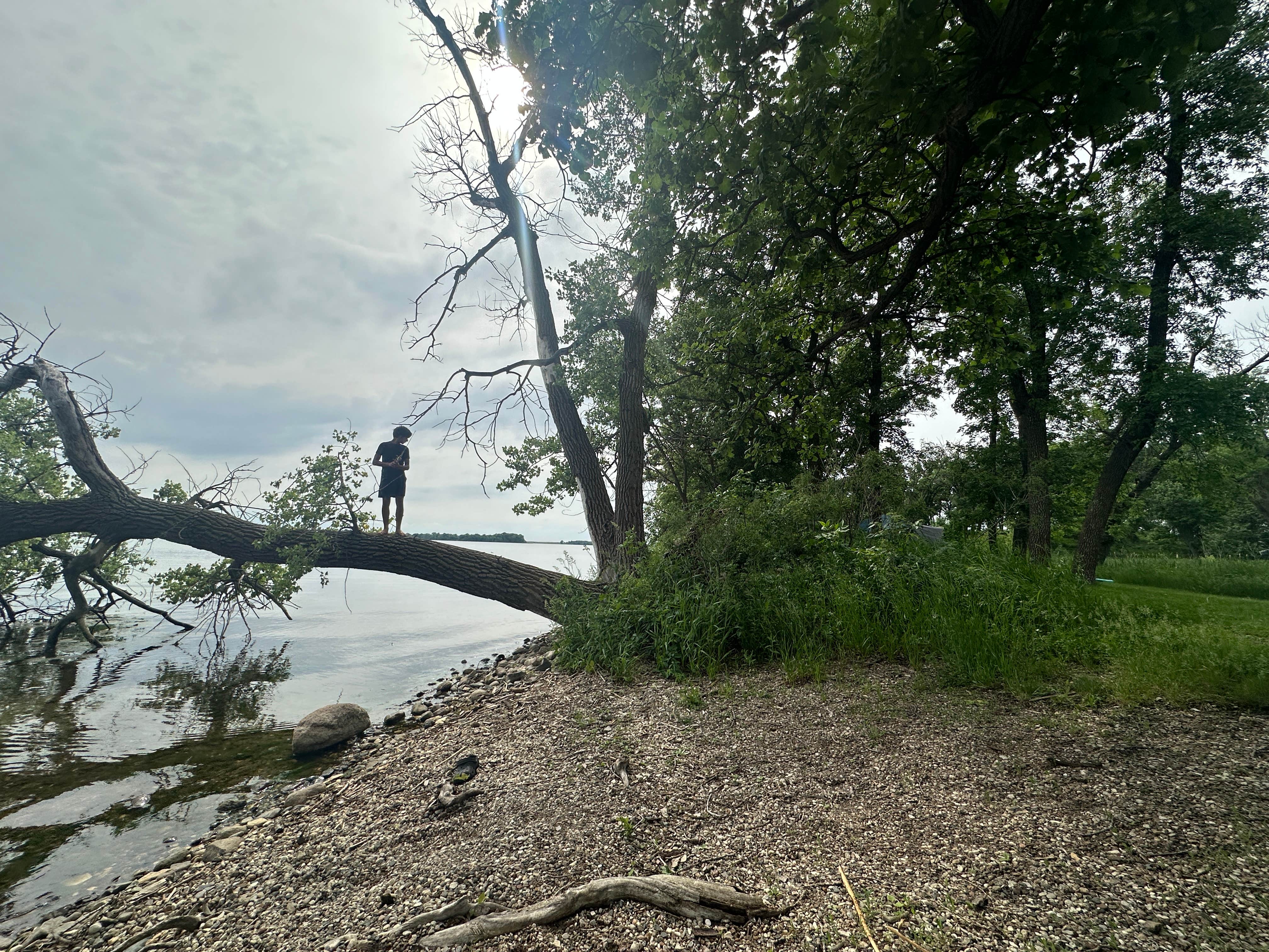 Nature