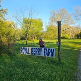 Review photo of Royal Berry Farm by Adrian C., April 6, 2024