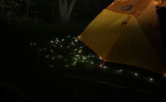 Sean H.'s photo at Ruby Campground near Algonac, MI