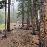Review photo of Ruby Gulch by Liv H., June 14, 2026