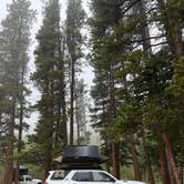 Review photo of Ruby Gulch by Liv H., June 14, 2026