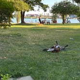 Review photo of Ruby’s Resort & RV @ Silver Lake by Brian B., July 18, 2026