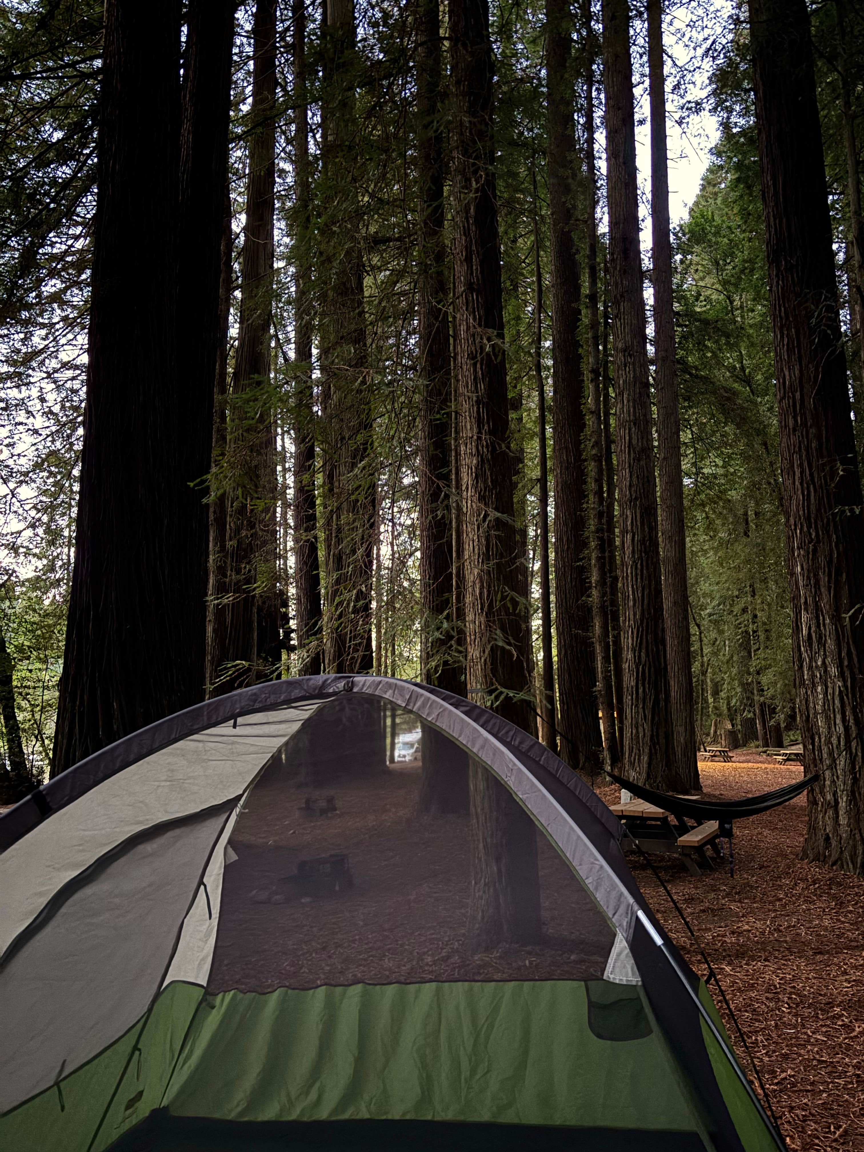 Camper submitted image from Ruby VanDeventer County Park - 1