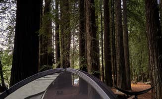 Henry M.'s photo at Ruby VanDeventer County Park near Smith River, CA