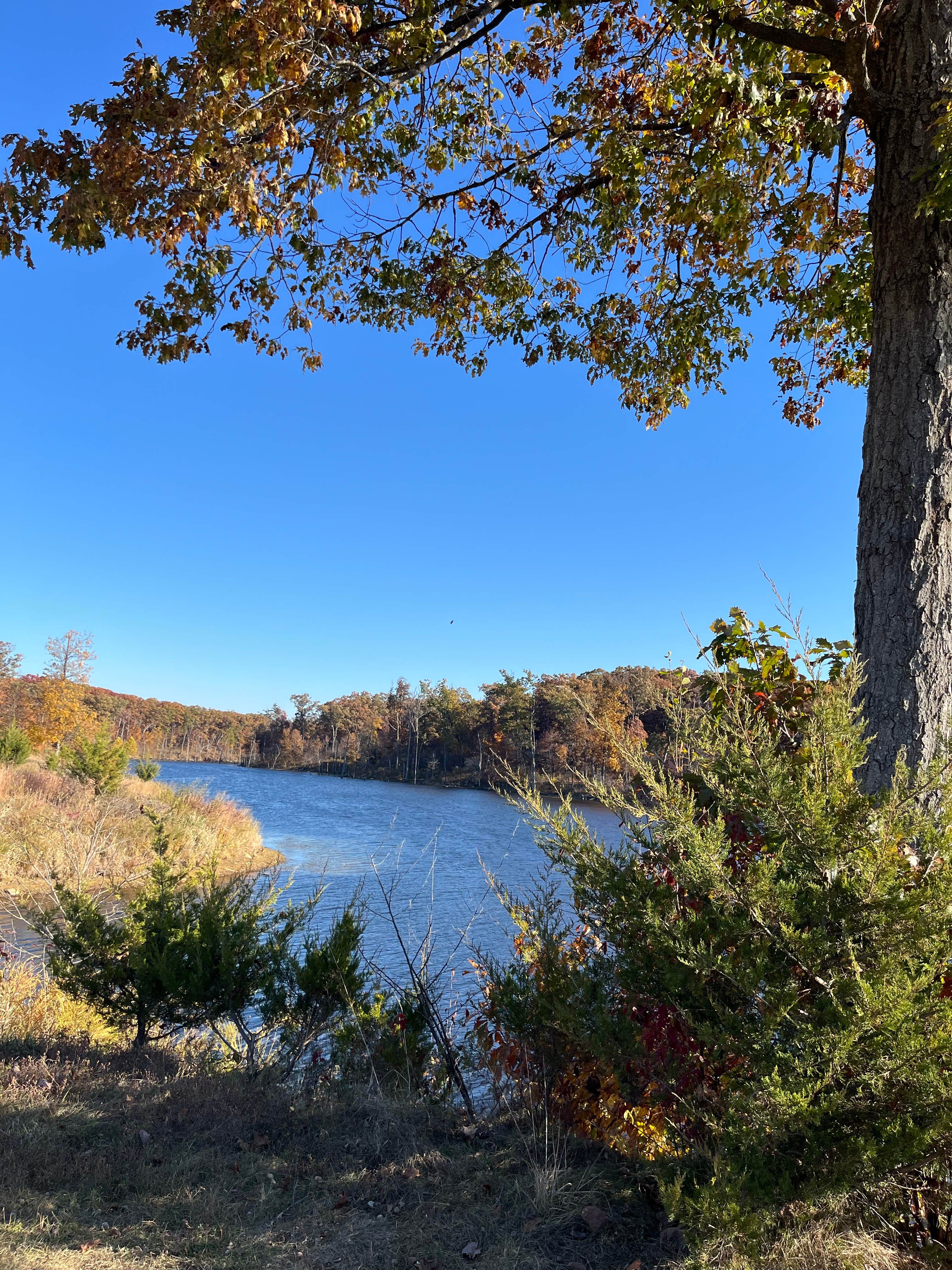 Camper submitted image from Rudolf Bennitt Conservation Area - 2